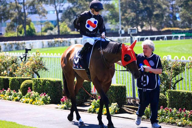 26th September 2026; Rosehill Gardens Racecourse, Sydney, Australia; Yulong Golden Rose Day Horse Racing; Midway Handicap, Vetwelve, trained by Dylan Gibbons, Jockey Dylan Gibbons during the pre-race parade KevinxManning
