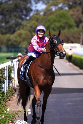 26th September 2026; Rosehill Gardens Racecourse, Sydney, Australia; Yulong Golden Rose Day Horse Racing; Midway Handicap, Call Me Sassy, trained by David Pfieffer, Jockey Mollie May Fitzgerald trots to the winners circle KevinxManning