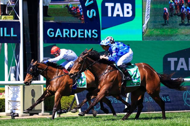26th September 2026; Rosehill Gardens Racecourse, Sydney, Australia; Yulong Golden Rose Day Horse Racing; Tab Highway Handicap, Xtreme, trained by Paul Snowden, Jockey Kerrin McEvoy and Tab Highway Handicap, Bluish Hue, trained by Matthew Dunn, Jockey Nash Rawiller cross the finishing line for the first time KevinxManning