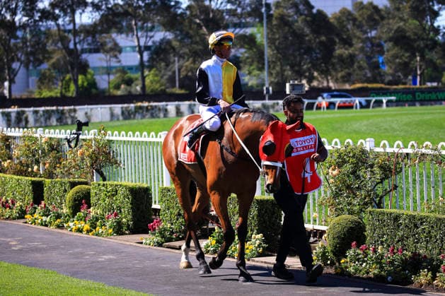 26th September 2026; Rosehill Gardens Racecourse, Sydney, Australia; Yulong Golden Rose Day Horse Racing; Toyota Forklifts Handicap, Medatsu, trained by Chris Waller, Jockey Nash Charles Rawiller during the pre-race parade KevinxManning