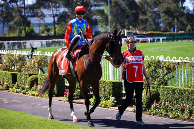 26th September 2026; Rosehill Gardens Racecourse, Sydney, Australia; Yulong Golden Rose Day Horse Racing; Toyota Forklifts Handicap, Starphistocated, trained by John Thompson, Jockey Chad Schofield during the pre-race parade KevinxManning