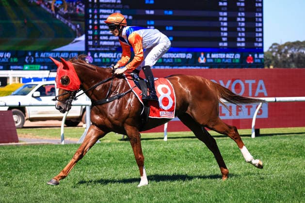 26th September 2026; Rosehill Gardens Racecourse, Sydney, Australia; Yulong Golden Rose Day Horse Racing; Asahi Super Dry Colin Stephen Quality, So You Are, trained by Bjorn Baker, Jockey Rachel King enters the winners circle KevinxManning