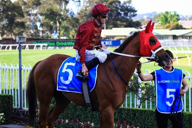 26th September 2026; Rosehill Gardens Racecourse, Sydney, Australia; Yulong Golden Rose Day Horse Racing; Racingsports.com.au Golden Pendant, Lazzura, trained by Chris Waller, Jockey James Brett McDonald during the pre-race parade KevinxManning