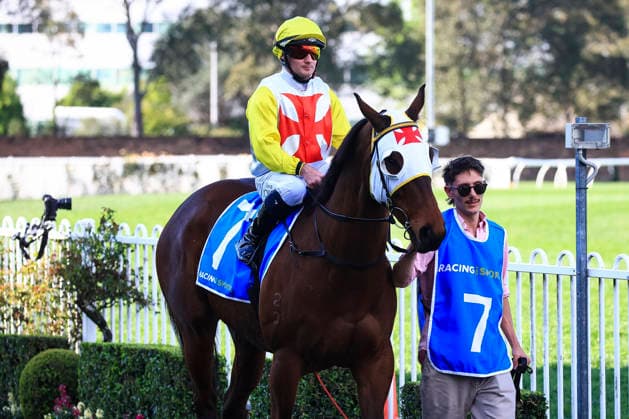 26th September 2026; Rosehill Gardens Racecourse, Sydney, Australia; Yulong Golden Rose Day Horse Racing; Racingsports.com.au Golden Pendant, Dark Glitter, trained by Mike Van Gestel, Jockey Reece Jones during the pre-race parade KevinxManning