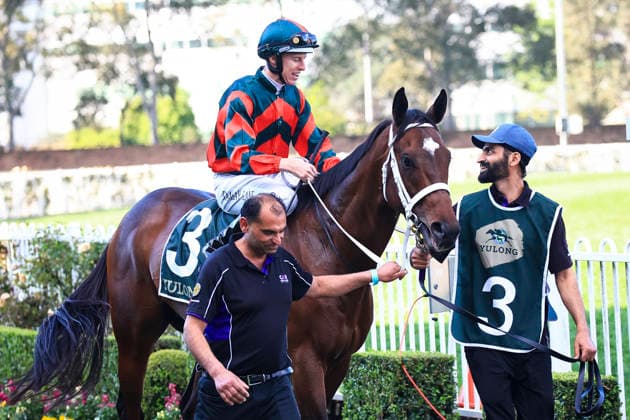 26th September 2026; Rosehill Gardens Racecourse, Sydney, Australia; Yulong Golden Rose Day Horse Racing; Yulong Golden Rose, Tron Bolt, trained by Chris Waller, Jockey Damian Lane during the pre-race parade KevinxManning