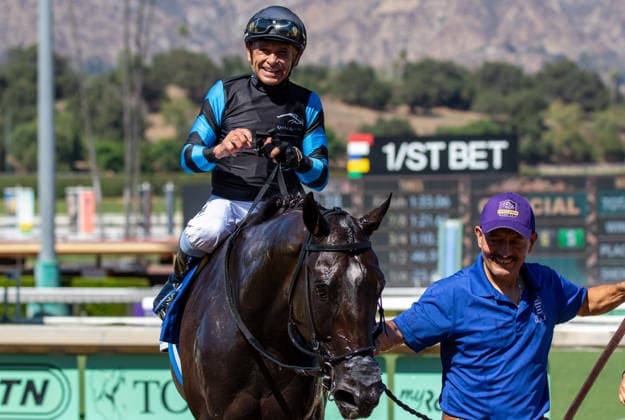 Equestrian sports, horse racing, the Goodwood Stakes in Arcadia