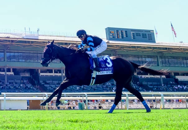 HORSE RACING 2026: Goodwood Stakes Day Santa Anita SEP 26 September 26, 2026, Arcadia, Ca, USA: Cabo Spirit (3) ridden by Mike Smith wins the City of Hope Mile Stakes (Grade 2) on Goodwood Stakes Day at Santa Anita Park in Arcadia, California on September 26, 2026. Dan Birch Eclipse Sportswire CSM CSM(Credit Image: Â Dan Birch Cal Media) Arcadia Ca USA EDITORIAL USE ONLY Copyright: xx ZUMA-20260926_faf_cs17_032.jpg DanxBirchx csmphotothree526141