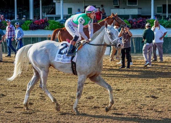HORSE RACING 2026: Lukas Classic Day Churchill Downs SEP 26 September 26, 2026, USA: Dragoon Guard (2) ridden by Tyler Gaffalione wins the Lukas Classic Stakes (Grade 2) during Lukas Classic Day at Churchill Downs on September 26, 2026. Jessica Morgan Eclipse Sportswire CSM(Credit Image: Â Jessica Morgan Cal Media) USA EDITORIAL USE ONLY Copyright: xx ZUMA-20260926_faf_cs17_037.jpg JessicaxMorganx csmphotothree526150