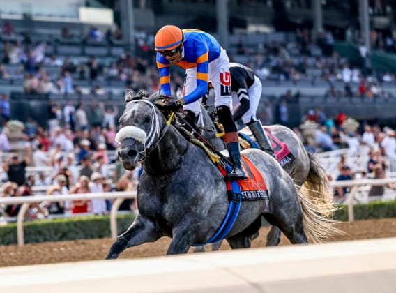 September 26, 2026, Arcadia, Ca, USA: Forged Steel (7) ridden by Edwin Gonzalez wins the Goodwood Stakes (Grade 1) at Santa Anita Park in Arcadia, California on September 26, 2026. Eclipse Sportswire CSM CSM Arcadia USA - ZUMAcs17 20260926_faf_cs17_067 Copyright: xDanxBirchx