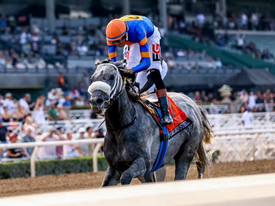 HORSE RACING 2026: Goodwood Stakes Day Santa Anita SEP 26 September 26, 2026, Arcadia, Ca, USA: Forged Steel (7) ridden by Edwin Gonzalez wins the Goodwood Stakes (Grade 1) at Santa Anita Park in Arcadia, California on September 26, 2026. Dan Birch Eclipse Sportswire CSM CSM(Credit Image: Â Dan Birch Cal Media) Arcadia Ca USA EDITORIAL USE ONLY Copyright: xx ZUMA-20260926_faf_cs17_068.jpg DanxBirchx csmphotothree526318