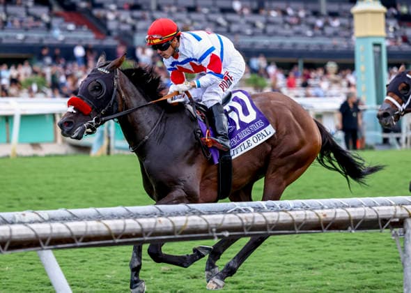 September 26, 2026, Arcadia, Ca, USA: Little Opal (10) ridden by Emisael Jaramillo wins the John C. Harris Stakes (Grade 3) on Goodwood Stakes Day at Santa Anita Park in Arcadia, California on September 26, 2026. Eclipse Sportswire CSM CSM Arcadia USA - ZUMAcs17 20260926_faf_cs17_076 Copyright: xDanxBirchx