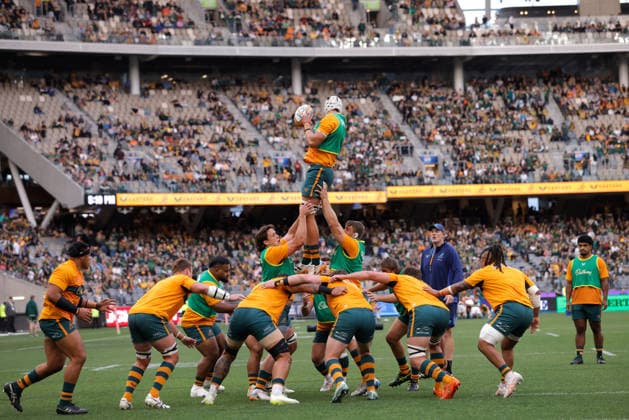 RUGBY UNION AUSTRALIA SOUTH AFRICA, The Wallabies are seen warming up before the international rugby test match between the Australian Wallabies and South Africa at Optus Stadium in Perth, Sunday, September 27, 2026. ( NO ARCHIVING, EDITORIAL USE ONLY PERTH Western Australia Australia  Copyright: xRICHARDxWAINWRIGHTx 20260927121542583176