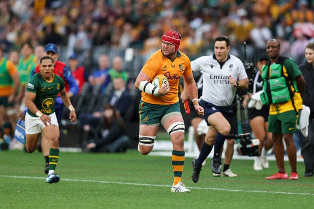 RUGBY UNION AUSTRALIA SOUTH AFRICA, Harry Wilson of the Wallabies runs with the ball during the international rugby test match between the Australian Wallabies and South Africa at Optus Stadium in Perth, Sunday, September 27, 2026. ( NO ARCHIVING, EDITORIAL USE ONLY PERTH Western Australia Australia  Copyright: xTravisxHaytox 20260927125109464576