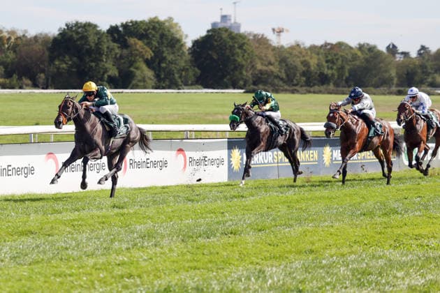 September 27, 2026, Cologne, North Rhine-Westphalia, GER Martinet with Luke Morris wins the Winter Queen Trial at the Cologne Weidenpesch Racetrack Horse, jockey, Martinet, Morris, victory, finish line, finish 260927SG985KOELN JPG