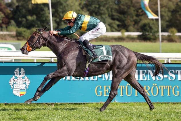 September 27, 2026, Cologne, North Rhine-Westphalia, GER: Martinet, with jockey Luke Morris, wins the Winter Queen Trial at the Cologne Weidenpesch Racetrack. Horse, jockey, Martinet, Morris, victory, finish line, finish 260927SG986KOELN JPG