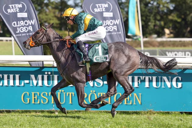 September 27, 2026, Cologne, North Rhine-Westphalia, GER Martinet with Luke Morris wins the Winter Queen Trial at the Cologne Weidenpesch Racetrack Horse, jockey, Martinet, Morris, victory, finish, finish line 260927SG987KOELN JPG