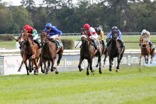 September 27, 2026, Cologne, North Rhine-Westphalia, GER Fortuna Diamond (second from left) with Martin Protti wins at the Cologne Weidenpesch Racetrack Horse, jockey, Fortuna Diamond, Protti, victory, finish line, finish 260927SG988KOELN JPG