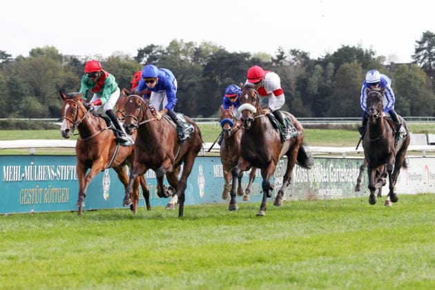 September 27, 2026, Cologne, North Rhine-Westphalia, GER Fortuna Diamond (second from left) with Martin Protti wins at the Cologne Weidenpesch Racetrack Horse, jockey, Fortuna Diamond, Protti, victory, finish line, finish 260927SG989KOELN JPG