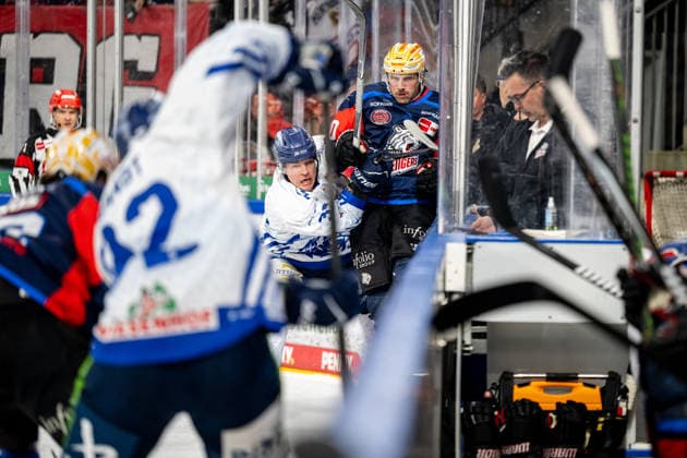 September 27, 2026 Ice Hockey Season 2026–2027 Penny DEL Nuremberg Ice Tigers Icetigers Straubing Tigers ThHa xthxhax Simon Seidl 39, Straubing Tigers Ryan Jones 20, Nuremberg Ice Tigers, NIT Check