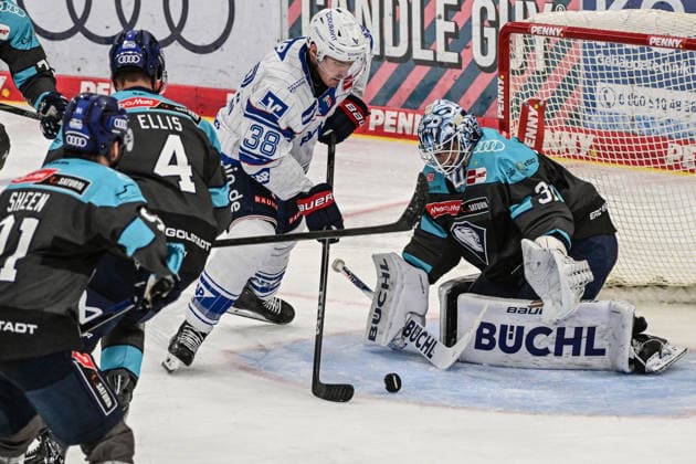Penny DEL 26 27 Penny DEL Ingolstadt vs. Adler Mannheim Ingolstadt, September 27, 2026: Devin Williams creates a scoring chance in front of the net for ERC Ingolstadt; Patrick Brown scores for Adler Mannheim at 31; 38. Ingolstadt, September 27, 2026: Penny DEL, Matchday 4, ERC Ingolstadt vs. Adler Mannheim at SATURN Arena, Ingolstadt Copyright: xBEAUTIFULxSPORTS Märklx
