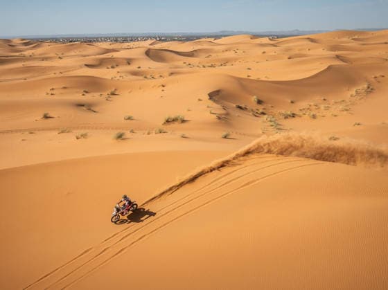 W2RC - RALLYE DU MAROC 2026 19 LUCCI Paolo (ita), BAS World KTM Team, KTM 450 Rally Factory Replica, FIM W2RC, Rally 2, action, during the Stage 3 of the Rallye du Maroc 2026, 4th round of the 2026 WR2C Championship from October 1, 2026 around Zagora, Morocco - AgadirMorocco Copyright: xFREDERICxLExFLOCxHx