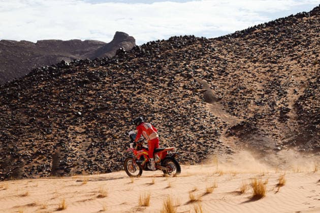 W2RC - RALLYE DU MAROC 2026 78 LLEDO Arnau (esp), Pedregà Racing Team, KTM 450 Rally Factory Replica, FIM W2RC, Rally 2 J, action, during the Stage 4 of the Rallye du Maroc 2026, 4th round of the 2026 WR2C Championship from October 2, 2026 around Zagora, Morocco - AgadirMorocco Copyright: xFREDERICxLExFLOCxHx
