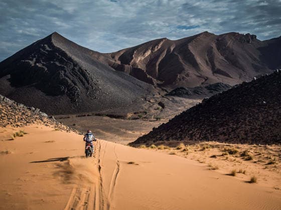 W2RC - RALLYE DU MAROC 2026 85 CAMPBELL Preston (usa), Monster Energy Honda HRC, Honda CRF 450, FIM W2RC, Rally 2, action, during the Stage 4 of the Rallye du Maroc 2026, 4th round of the 2026 WR2C Championship from October 2, 2026 around Zagora, Morocco - AgadirMorocco Copyright: xFREDERICxLExFLOCxHx