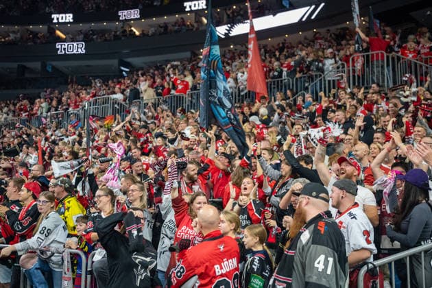 Cologne fans cheer Marco Noebel s goal to make it 1–0 for the Cologne Haie, 92 Cologne Haie vs. EHC Red Bull Munich, ice hockey, Penny DEL, Matchday 5, 2026–2027 season, October 2, 2026, Cologne Sharks vs. EHC Red Bull Munich, Ice Hockey, Penny DEL, Matchday 5, 2026–2027 Season, October 2, 2026, Cologne Copyright: xEibner-Pressefoto ThomasxHaeslerx EP_THR