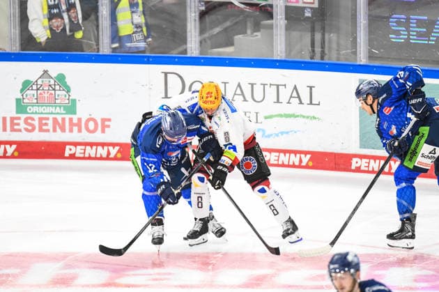 Joseph Duszak s Straubing Tigers face off against Nino Kinder s Pinguins Bremerhaven, Men s Ice Hockey, German Ice Hockey League, Penny DEL, Matchday 5, 2026–2027 season on October 2, 2026, at the Eisstadion am Pulverturm, Straubing Tigers (blue) vs. Pinguins Bremerhaven (white)