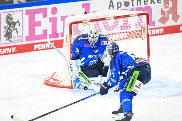 Florian Bugl of the Straubing Tigers prevents a goal, Men s Ice Hockey, German Ice Hockey League, Penny DEL, Matchday 5, 2026–2027 season on October 2, 2026, at the Eisstadion am Pulverturm, Straubing Tigers (blue) vs. Pinguins Bremerhaven (white)