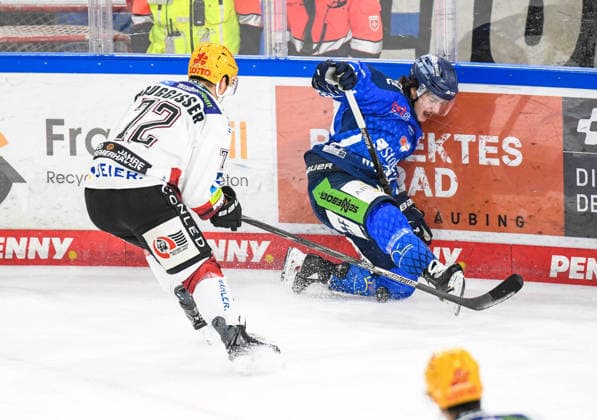 Jamieson Rees of the Straubing Tigers at the boards with Phillip Bruggisser of the Bremerhaven Pinguins, Men s Ice Hockey, German Ice Hockey League, Penny DEL, Matchday 5, 2026–2027 season on October 2, 2026, at the Eisstadion am Pulverturm, Straubing Tigers (blue) vs. Pinguins Bremerhaven (white)