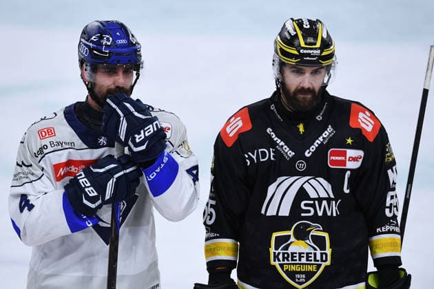 Ice Hockey: Penny DEL, Matchday 5—Krefeld Pinguine vs. ERC Ingolstadt on October 2, 2026, at the Yayla Arena in Krefeld. Morgan Ellis (Ingolstadt), on the left, Davis Vandane of Krefeld; on the right, In accordance with the regulations of the DEL (German Ice Hockey League), the publication and further use of the footage in electronic media and on devices of any kind during the game is not permitted. xRx