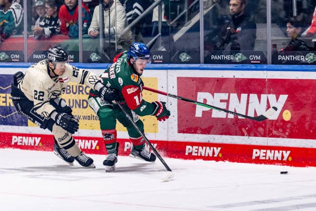 Battle for the Puck: Face-off between Madison Bowey (Grizzlys Wolfsburg, 22) and Donald D. J. Busdeker (Augsburger Panther, 14, GER), Augsburger Panther vs. Grizzlys Wolfsburg, Ice Hockey, DEL, 2026–2027 Season, Matchday 4, October 2, 2026. Photo: HMB Media, Heike Feiner Copyright: HMBxMedia HeikexFeiner