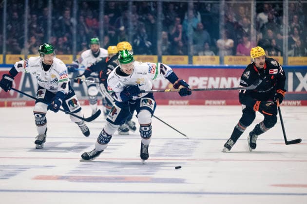 Eric Hoerdler, Eisbären Berlin, 77 GER, Löwen Frankfurt vs. Eisbären Berlin, Ice Hockey, PENNY DEL, Matchday 5, 2026–2027 Season, October 2, 2026 GER, Loewen Frankfurt vs. Eisbaeren Berlin, Ice Hockey, PENNY DEL, Matchday 5, 2026–2027 Season, October 2, 2026 Frankfurt am Main Copyright: xEibner-Pressefoto AttilaxZigax EP_AZA