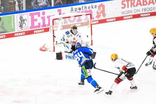 Straubing Tigers vs. Pinguins Bremerhaven, Ice Hockey, German Ice Hockey League, Penny DEL, Matchday 5, 2026–2027 Season, October 2, 2026: Jamieson Rees of the Straubing Tigers misses a shot against Kristers Gudlevskis of the Pinguins Bremerhaven, Men’s Ice Hockey, German Ice Hockey League, Penny DEL, Matchday 5, 2026–2027 Season on October 2, 2026, at the Eisstadion am Pulverturm; Straubing Tigers (blue) vs. Pinguins Bremerhaven (white)