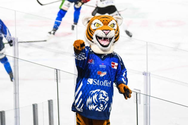 Straubing Tigers vs. Pinguins Bremerhaven, Ice Hockey, German Ice Hockey League, Penny DEL, Matchday 5, 2026–2027 Season, October 2, 2026: Tigo Straubing Tigers Celebrate Victory, Men’s Ice Hockey, German Ice Hockey League, Penny DEL, Matchday 5, 2026–2027 Season on October 2, 2026, at the Eisstadion am Pulverturm, Straubing Tigers (blue) vs. Pinguins Bremerhaven (white)