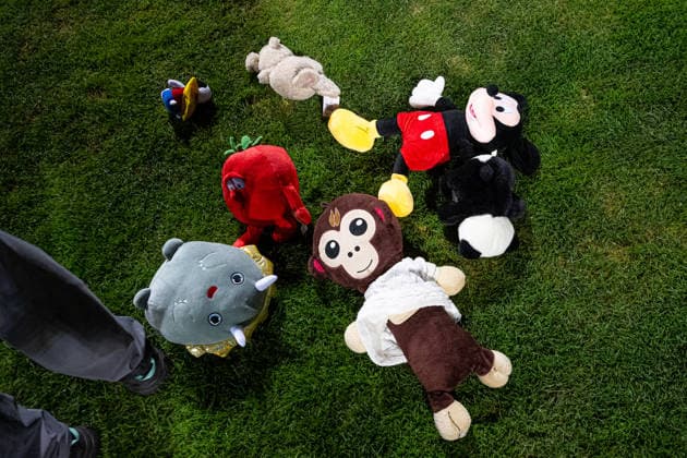 261002 Teddy bears thrown onto the field after the Nations League soccer match between Bosnia and Herzegovina and Sweden on October 2, 2026 in Zenica. Photo by Ludvig Thunman. BILDBYRAN code LT LT0823 soccer football fotball Nations League UEFA Nations League Bosnia and Herzegovina Sweden Sweden A BBENG  Copyright: LUDVIGxTHUNMAN BB261002LT215