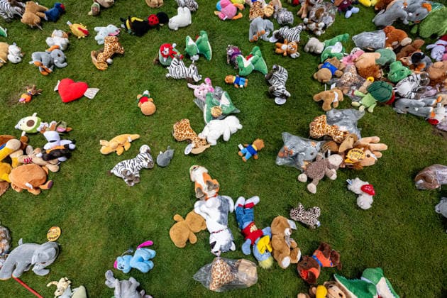261002 Teddy bears thrown onto the field after the Nations League soccer match between Bosnia and Herzegovina and Sweden on October 2, 2026 in Zenica. Photo by Ludvig Thunman. BILDBYRAN code LT LT0823 soccer football fotball Nations League UEFA Nations League Bosnia and Herzegovina Sweden Sweden A BBENG  Copyright: LUDVIGxTHUNMAN BB261002LT220