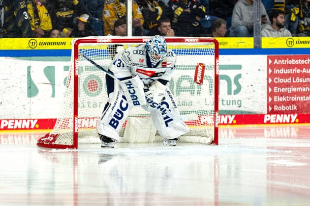Devin Williams, ERC Ingolstadt, 31, in goal before the second period, GER, Krefeld Pinguine vs. ERC Ingolstadt, ice hockey, PENNY DEL, Matchday 5, 2026–2027 season, October 2, 2026, GER, Krefeld Pinguine vs. ERC Ingolstadt, ice hockey, PENNY DEL, Matchday 5, 2026–2027 season, October 2, 2026, Krefeld Copyright: xEibner-Pressefoto FabianxFriesex EP_FFE