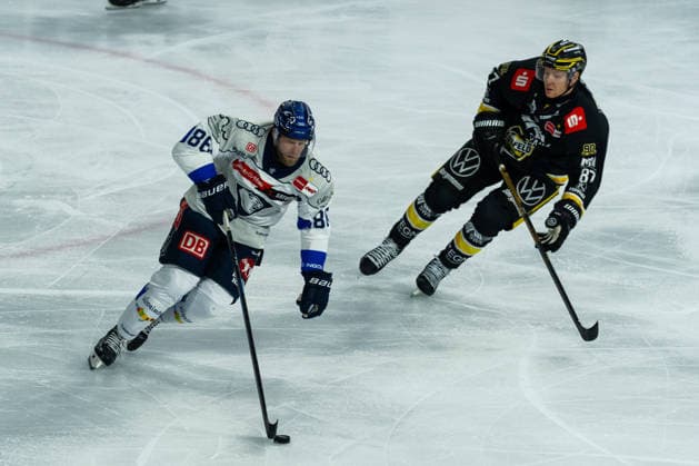 Daniel Pietta (ERC Ingolstadt), 86, vs. Philip Gogulla (Krefeld Pinguine), 87, GER, Krefeld Pinguine vs. ERC Ingolstadt, ice hockey, PENNY DEL, Matchday 5, 2026–2027 season, October 2, 2026, GER, Krefeld Pinguine vs. ERC Ingolstadt, Ice Hockey, PENNY DEL, Matchday 5, 2026–2027 Season, October 2, 2026, Krefeld Copyright: xEibner-Pressefoto FabianxFriesex EP_FFE