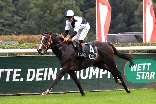 October 3, 2026, ISO GER DEU Equestrian Sports, German Unity Day, 2026, Hoppegarten Winner Thore Hammer Hansen on Snow Player nordphoto GmbH Engler Berlin Hoppegarten Berlin Germany Copyright: xNordphotox xEnglerx