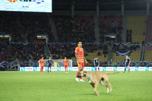 A dog invades the pitch. North Macedonia v Scotland, UEFA Nations League, Football, Nacionalna Arena Tose Proeski, Skopje, North Macedonia - 03 Oct 2026Skopje Nacionalna Arena Tose Proeski North Macedonia  Copyright: xNikolaxKrstic Shutterstockx 17184131bo