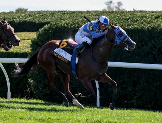 October 3, 2026, Lexington, Ky, USA: Joe Shiesty (6) ridden by Fernando De La Cruz wins the Woodford Stakes presented by Fanduel (Grade 2) on Coolmore Turf Mile Day at Keeneland in Lexington, Kentucky on October 3, 2026. Eclipse Sportswire CSM Lexington USA - ZUMAcs17 20261003_faf_cs17_012 Copyright: xCaseyxLaughterx