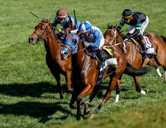 October 3, 2026, Lexington, Ky, USA: Joe Shiesty (6) ridden by Fernando De La Cruz wins the Woodford Stakes presented by Fanduel (Grade 2) on Coolmore Turf Mile Day at Keeneland in Lexington, Kentucky on October 3, 2026. Eclipse Sportswire CSM HORSE RACING 2026: Coolmore Turf Mile Day Keeneland OCT 03 - ZUMAcs17 20261003_faf_cs17_014 Copyright: xCandicexChavezx