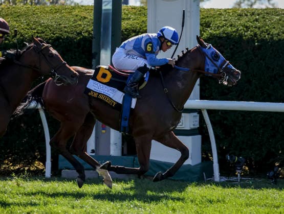October 3, 2026, Lexington, Ky, USA: Joe Shiesty (6) ridden by Fernando De La Cruz wins the Woodford Stakes presented by Fanduel (Grade 2) on Coolmore Turf Mile Day at Keeneland in Lexington, Kentucky on October 3, 2026. Eclipse Sportswire CSM HORSE RACING 2026: Coolmore Turf Mile Day Keeneland OCT 03 - ZUMAcs17 20261003_faf_cs17_018 Copyright: xCaseyxLaughterx