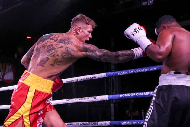 Boxing: Boxing in the North, Hamburg, October 3, 2026 WBF World Championship Steven Robinson (ENG) vs. Francisco Cordero (COL)