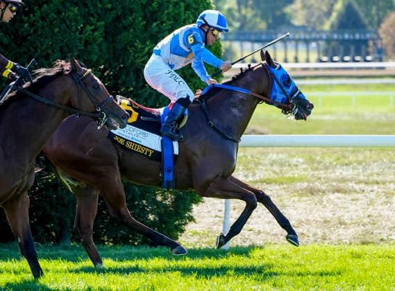 HORSE RACING 2026: Coolmore Turf Mile Day Keeneland OCT 03 October 3, 2026, Lexington, Ky, USA: Joe Shiesty (6) ridden by Fernando De La Cruz wins the Woodford Stakes presented by Fanduel (Grade 2) on Coolmore Turf Mile Day at Keeneland in Lexington, Kentucky on October 3, 2026. Jessica Morgan Eclipse Sportswire CSM(Credit Image: Â Jessica Morgan Cal Media) Lexington Ky USA EDITORIAL USE ONLY Copyright: xx ZUMA-20261003_faf_cs17_025.jpg JessicaxMorganx csmphotothree529077