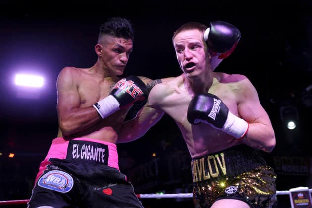 Boxing: Boxing in the North, Hamburg, October 3, 2026 Alex Pavlov (GER) vs. Nestor Gonzales (VEN)