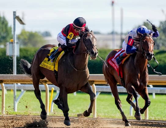 October 3, 2026, Lexington, Ky, USA: Evanescence (4) ridden by Jose Ortiz wins the Thoroughbred Club of America Stakes (Grade 2) on Coolmore Turf Mile Day at Keeneland in Lexington, Kentucky on October 3, 2026. Eclipse Sportswire CSM Lexington USA - ZUMAcs17 20261003_faf_cs17_037 Copyright: xJessicaxMorganx