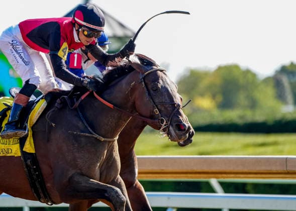 October 3, 2026, Lexington, Ky, USA: Evanescence (4) ridden by Jose Ortiz wins the Thoroughbred Club of America Stakes (Grade 2) on Coolmore Turf Mile Day at Keeneland in Lexington, Kentucky on October 3, 2026. Eclipse Sportswire CSM Lexington USA - ZUMAcs17 20261003_faf_cs17_035 Copyright: xJessicaxMorganx